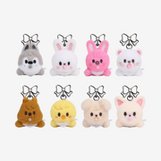STRAY KIDS 2026 World Tour RUN IT SKZOO Secret Wind-Up Plush | K-BOO