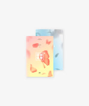 Album – BTS 4th Mini Album [The Most Beautiful Moment in Life PT.2] | Big hit | K - Boo
