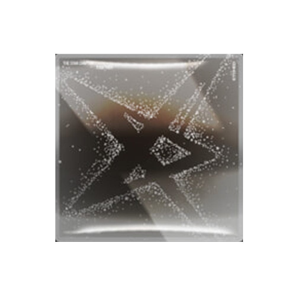 TXT 4th Full Album The Star Chapter: TOGETHER kpop — K-BOO