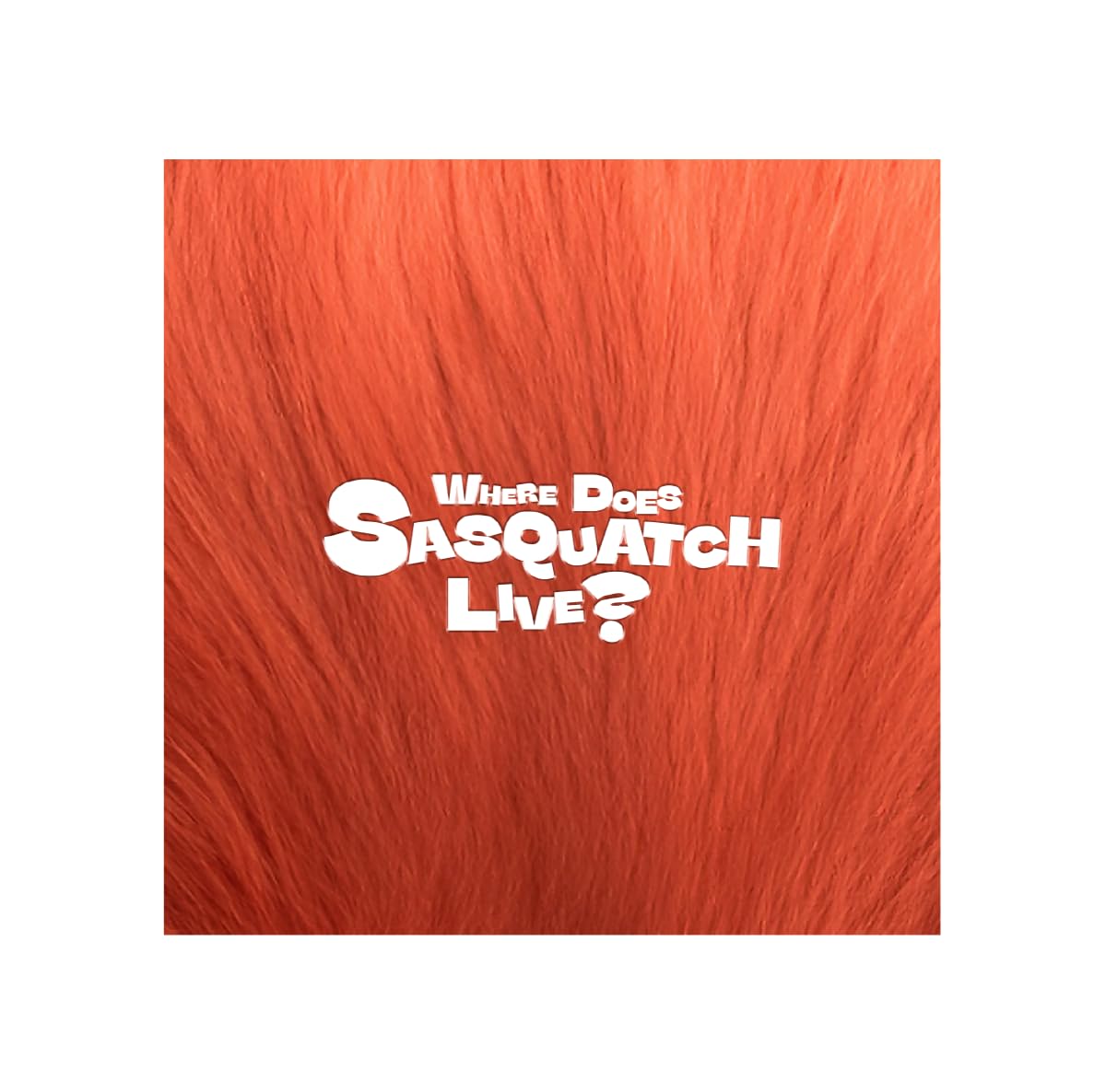 ZIOR PARK Where Does The Sasquatch Live album | K-BOO