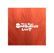 ZIOR PARK Where Does The Sasquatch Live album | K-BOO